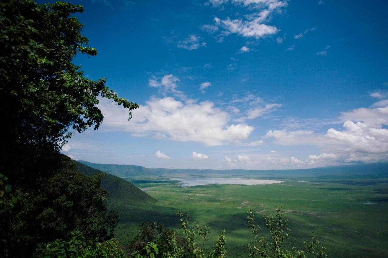 Charming Eco-Homestay Near Kilimanjaro International Airport Arusha Eksteriør billede