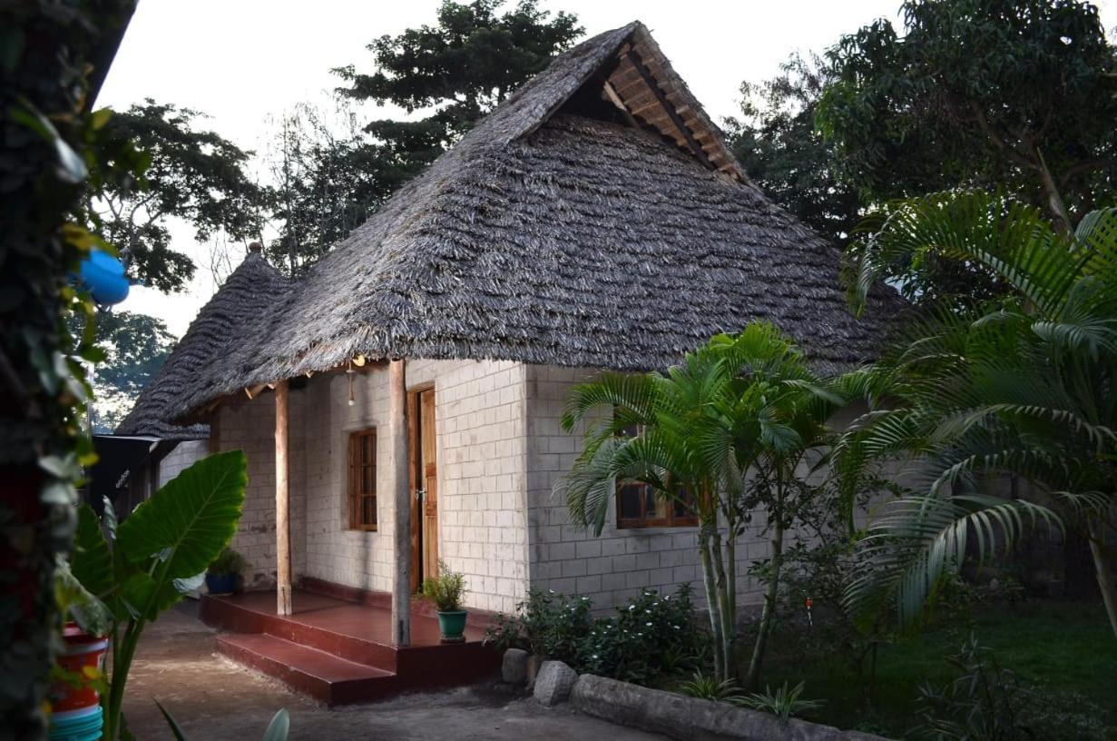 Charming Eco-Homestay Near Kilimanjaro International Airport Arusha Eksteriør billede